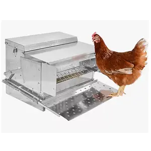 Alimentador automático de aves, alimentador de galinhas e bebedores resistentes, aço galvanizado