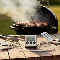 Termometer Daging Digital Single Probe SW Top Seller dengan Layar LCD Plastik -25~250 Derajat Celcius untuk Dapur, BBQ, dan Penggunaan Rumah Tangga