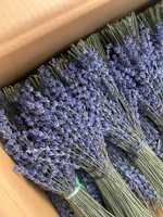 100% paquets de lavande séchée naturelle eucalyptus et coton pour la décoration de la maison et les arrangements floraux de Noël