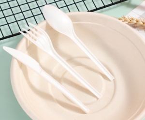 Ice cream plastic spoon/hard plastic spoon