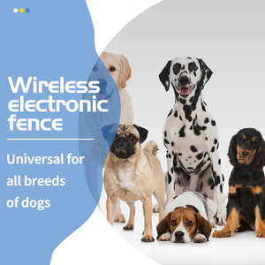 Système de collier de dressage <span class=keywords><strong>pour</strong></span> chien sans fil électrique extérieur, écologique, en plastique, grand enclos <span class=keywords><strong>pour</strong></span> animaux de compagnie avec vibrations, choc et bip - Product Image 4