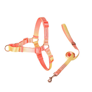 สายรัดอกสุนัขแบบปรับได้ ป้องกันการดึง พร้อมสายรัดไนลอนทนทาน - Product Image 2