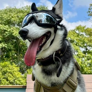Occhiali Protettivi per Cani, Antivento, per Sport all'Aperto, Lenti a Specchio, Protezione Occhi per Cani di Taglia Media e Grande, per Passeggiate e Ciclismo - Product Image 3