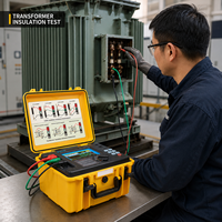 Testeur de résistance d'isolement portable 10 kV 5 mA avec écran LCD couleur, mégohmmètre pour le test des transformateurs, des moteurs et des câbles