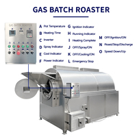 Torréfacteur Électrique Automatique pour Grains de Café, Cacao, Arachides, Machine à Torréfier en Acier Inoxydable pour Châtaignes, Noix, Graines de Tournesol