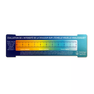 Regla para el <span class=keywords><strong>dolor</strong></span> de los conductos óseos médicos de PVC OEM Tipo de <span class=keywords><strong>escala</strong></span> para médicos con diseño OEM y material plástico duradero - Product Image 1