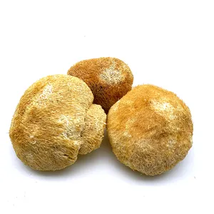 Healthy Food Dried Lions Mane Monkey Head Mushroom
