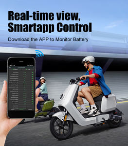 Hochleistungs-Lithium-Batterie mit Langer Ausdauer für 2-Rad-Elektrofahrzeuge 48V 60V 2-Rad-Lithium-Batterie mit BMS für E-Bike und E-Scooter - Product Image 4