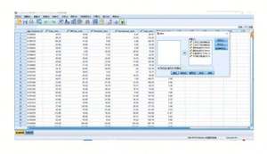 Logiciel de solutions statistiques et de services Onedriver pour SPSS 26 : Obtenez votre lien de téléchargement - Product Image 3