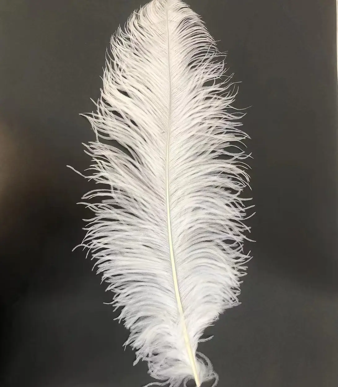 Factory wholesale 50-75 cm Decor Feather Natural colored l Ostrich Feathers cheap for Wedding wal decoration