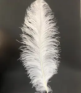 Plumas de avestruz de colores naturales, plumas decorativas de 50-75 cm, venta al por mayor de fábrica, baratas para decoración de bodas