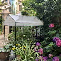 Tente de culture de plantes en PVC/PE robuste serre de jardin avec cadre en acier épaissi pour cultiver des semis serre de jardin