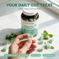 Gummies prébiotiques et probiotiques à marque privée, véganes, à la pectine, pour la santé intestinale, l'équilibre digestif, le renforcement immunitaire, saveur naturelle de baies