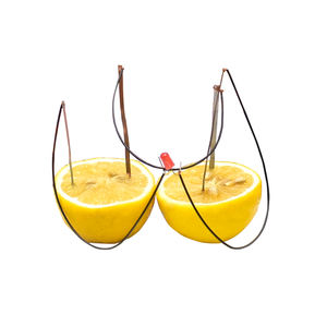 Jouets de projets scientifiques STEM super amusants, expériences scientifiques de cuisine pour enfants - Product Image 4