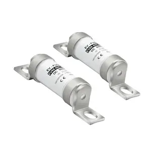 Fusible à action rapide d'EVL 25A 450A DC500V DC600V 30KA 100KA pour la charge d'automobile EV