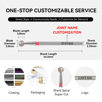 Chiyan Nail Tool Fabricant Nouveau Produit Diamond Ball Head Nail Salon Utilisation Rapide Polissage Nail Drill Bit