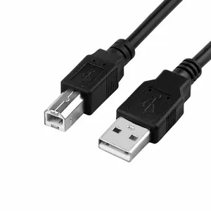 Fabrik-USB-Druckerkabelkabel Usb A von Stamm zu Stamm USB 2.0 AM zu BM Kabel für Drucker Scan Fax-Hub