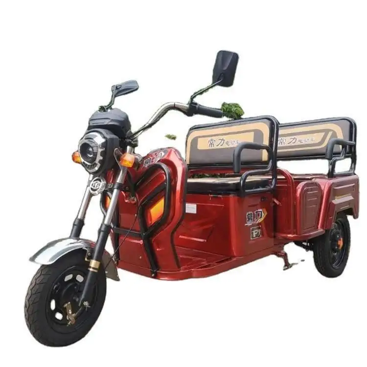 China fabricante chang li 6 velocidades pedal assistente 2 passageiros bicicleta adulto redmbent assento bateria auto elétrica rickshaw