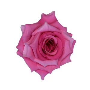 Testa di Rosa Simulata da 10 cm, Fatta a Mano, <span class=keywords><strong>per</strong></span> Ghirlande Fai-da-te, Decorazioni <span class=keywords><strong>per</strong></span> Auto da Matrimonio, <span class=keywords><strong>Fiori</strong></span> in Seta <span class=keywords><strong>per</strong></span> <span class=keywords><strong>Torte</strong></span>, San Valentino/Capodanno - Product Image 5