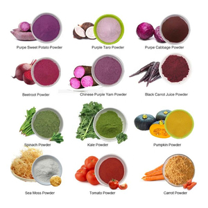 Poudre <span class=keywords><strong>de</strong></span> protéines tout-en-un OEM/ODM saveur chocolat-<span class=keywords><strong>cacahuète</strong></span> pour smoothie, substitut <span class=keywords><strong>de</strong></span> repas anti-âge pour le soutien des articulations et des muscles maigres - Product Image 5
