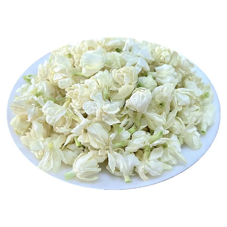 Xanadu Wholesale Aromatic Premium Natural Fresh Blooming Jasmine Flower Buds Tea Without Stems White Bud 0 Additives Less Bitter
