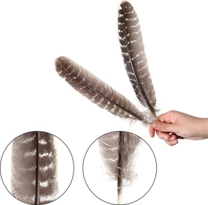Plumes <span class=keywords><strong>d</strong></span>'ailes de dinde sauvage naturelles de 25-30 cm en gros pour l'artisanat DIY, coiffures indiennes, <span class=keywords><strong>d</strong></span>écorations <span class=keywords><strong>d</strong></span>'ailes <span class=keywords><strong>d</strong></span>'ange - Product Image 3