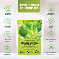 Sachets de tisane naturelle de feuilles de corossol (Graviola) pour adultes, femmes non enceintes, service OEM/ODM, faible MOQ