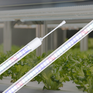 หลอดไฟ LED T8 2 ฟุต IP65 สำหรับปลูกพืชแบบไฮโดรโปนิกส์  6400K/9000K Ra90 CRI รับประกัน 3 ปี ขายดี - Product Image 1