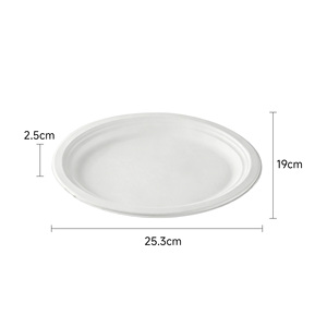 Assiette ronde compostable en bagasse de canne à sucre de 25 cm, écologique, jetable, pour les fêtes, les pique-niques, les plats à emporter et l'usage quotidien - Product Image 2