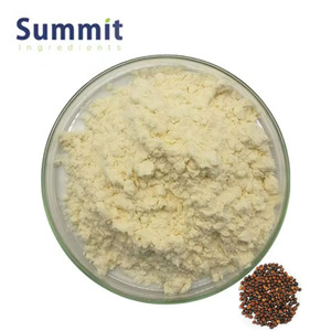 Sulforafaanpoeder Natuurlijke Supplementen <span class=keywords><strong>Broccoli</strong></span> Zaden <span class=keywords><strong>Extract</strong></span> Sulforafaan - Product Image 1