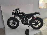 Vélo Électrique Tout-Terrain 750W Sans Balais, Design Rétro, Pneus Larges, Batterie au Lithium, Vente en Gros OEM/ODM, Meilleure Vente, pour Distributeurs