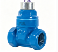 Vanne à opercule à joint souple, manuelle, avec verrouillage antivol crypté, raccord fileté pour entrée de compteur, PN16, OEM disponible, 1/2in-2in, pour alimentation en eau
