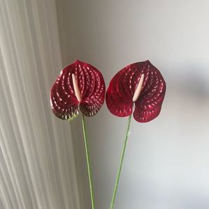 Fleur d'Anthurium Artificielle Junheyuan, Branche Unique, Fleur Artificielle Imprimée en 3D pour la Décoration Intérieure et les Arrangements Floraux - Product Image 4