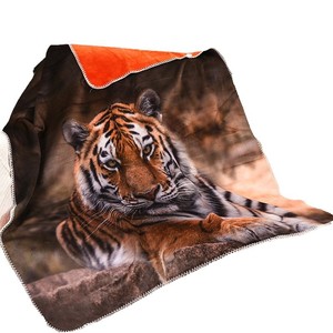 3D Ángel Estrella animal caballo estampado visón polar mantas tamaño personalizado - Product Image 1