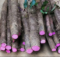 Fournisseur de Poudre d'Igname Violette de Qualité Alimentaire en Vrac, Poudre d'UBE Pure, Poudre de Racine d'Igname Violette, Extrait d'UBE