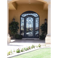 Puerta de hierro forjado de diseño arqueado de lujo con diseños de puerta única exterior de vidrio templado para casas