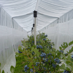 Filet Anti-abeille/filet Anti-grêle/filet drapé pour fermes agricoles <span class=keywords><strong>myrtille</strong></span> vergers arbres - Product Image 1