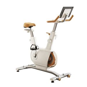 Volant unique populaire intérieur Spinning <span class=keywords><strong>vélo</strong></span> équipement de gymnastique chaud <span class=keywords><strong>vélo</strong></span> d'exercice électrique Fitness pour la maison Portable silencieux vélos - Product Image 3