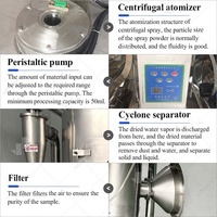 Koffie Rotatie Spray Freeze Dryer Vacuüm Instant Geitenmelk Droogpoeder Droogtoren Plant Apparatuur Maakmachine