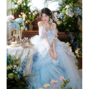 Princess Ball Gown Wedding Dress Tulle Sweetheart Neckline Off The Shoulder Vintage Style Outdoor Photoshoot Gown - Product Image 5