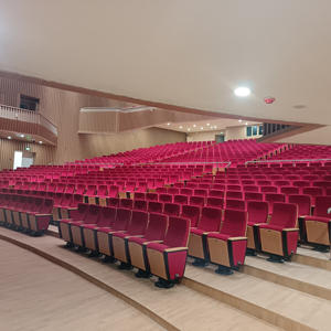 Silla de Auditorio Moderna de Tela para Teatro, Hotel, Hospital - Reposabrazos Ajustables, Patas de Acero, Muebles Comerciales al por Mayor - Product Image 2