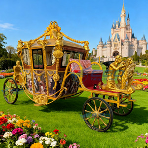Calèche royale électrique personnalisée pour mariages, balades panoramiques et événements spéciaux – Calèche à chevaux royale à vendre - Product Image 2