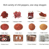 Graines de Légumes Hybrides en Gros Piment Poivre Épicé Usine de Chine pour Usage Culinaire et Épices