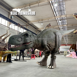Giai đoạn hiển thị tùy chỉnh 6m Khủng long mô hình thực tế cử động được khủng long trang phục - Product Image 5