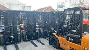 מזחל 30 מלגזה, 50/80 כף יד שנייה מחוץ לכביש, עם תורן בגובה 4.5 מטר - Product Image 5