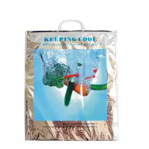 Özel sıcak soğuk çanta kullanımlık termal yalıtımlı çanta paketleri gıda saklama torbaları