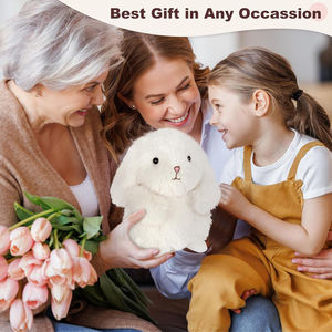 Trending-Producten 2024 Nieuwkomers Op Maat Gemaakte Schattige Konijnenknuffels In De Magnetron Voor Krampen En Pijnverlichting - Product Image 6