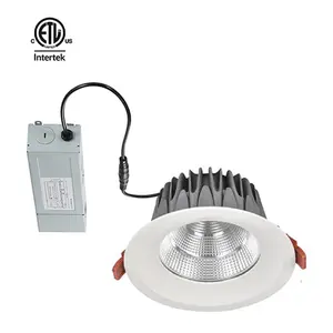 Dayton 11 Years Golden Supplier CCT2700K-5000K 12W 15W 20W 30W Wall Lamp Outdoor Waterproof IP65 Corridor Light