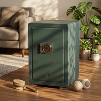 Eonluxe Coffre-fort de luxe minimaliste gris foncé avec serrure biométrique et clé, rangement dissimulé pour bijoux, argent liquide, armoire de sécurité pour la maison et le bureau NOUVEAU
