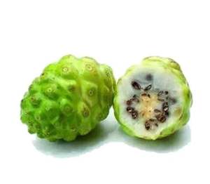 Ekstrak buah <span class=keywords><strong>Noni</strong></span> Organik/bubuk buah <span class=keywords><strong>Noni</strong></span> - Product Image 2